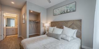 Birchway Tropicana Gallery 45