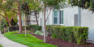Summerwood Apartment Homes Gallery 40