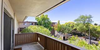 1327 Webster St #B305 - Studio | 1 bath | Condo Gallery 15