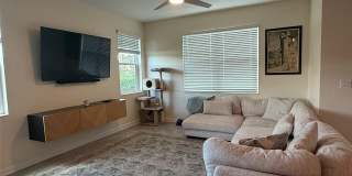15113 PACEY COVE DRIVE Gallery 5
