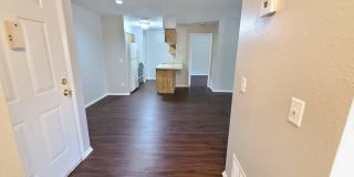 205 Red Maple Place, #205miamiassistant@realtymiamigroup.com Gallery 8