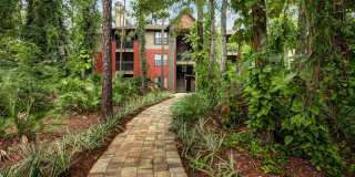 Timberwalk at Mandarin Gallery 11