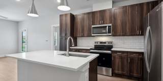 Virginia I Gallery 41