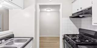 Flats at Wellington Gallery 3