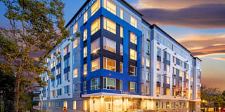 Sanctuary Gallery 10