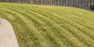 Finally… A Backyard Worth Bragging About This Summer! Gallery 9