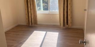 79 Birchwood Rd Gallery 7