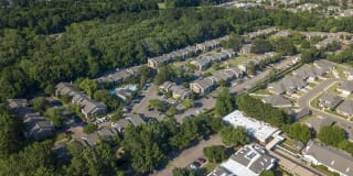 Pear Orchard Gallery 30