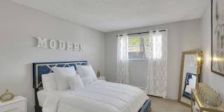 The Modern Gallery 22