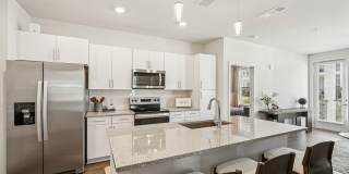 Ascend at Carlton Gallery 61