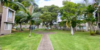 Mililani Terrace Gallery 14