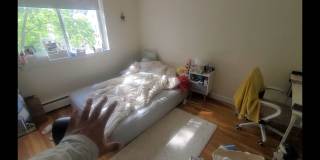 Fantastic Apt near BU and Packards Corner!  $500 rebate with promo.  HW Floors, Dishwasher Gallery 10