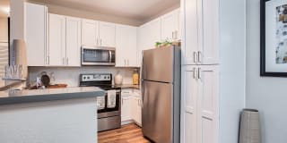 Woodland Meadow Gallery 35