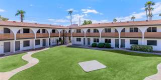 Aster on University Gallery 26