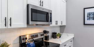 The Residence at 1000 Elm Gallery 105