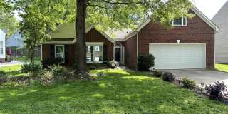 8506 Forest Shadow Circle Gallery 1