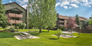 2 Bed | 2 Bath Condo in Powderwood Gallery 1