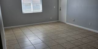 205 Berry Tree Pl
Brandon, FL 33510-4353-1 Gallery 14