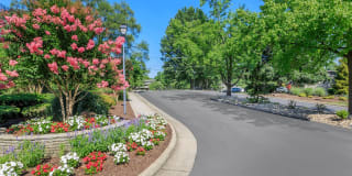 Honeywood Apartment Homes Gallery 17