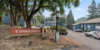 Timberlee Gallery 12
