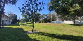 303 Seminole Palms Drive Gallery 9