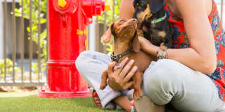 Valentia by Windsor Gallery 31