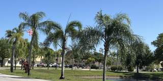 4245 Oak Terrace Drive Gallery 13