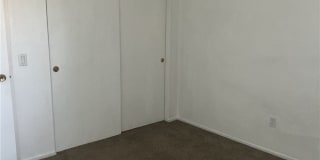 6585 Shannon Gallery 23