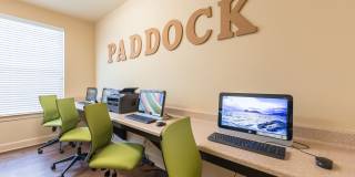 Paddock at Norwood Gallery 24