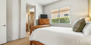 48474 Vista Palomino Gallery 31