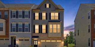 25284 ARROWROOT Terrace Gallery 1