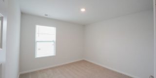 463 Coconut Drive Gallery 38
