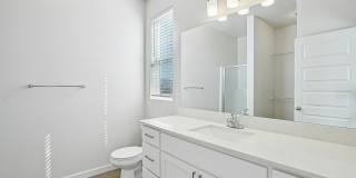 Carrington Square Gallery 70