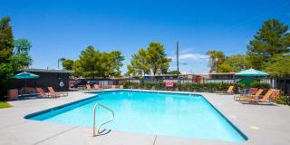 Icon on Stella Gallery 1