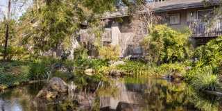 The Aspen South Coast Gallery 29