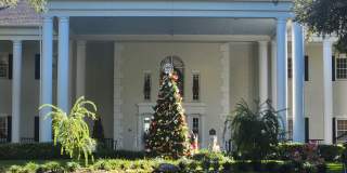 24921 Pine Hill Gallery 16