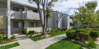 Palm Court Apartment Homes Gallery 17