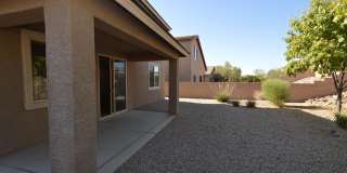 10439 S Cutting Horse Drive Gallery 16