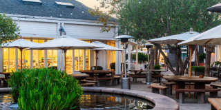 Larkspur Courts Gallery 32