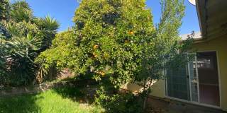Stunning Three Bedroom House W/ Two Car Garage & Backyard!! Gallery 21