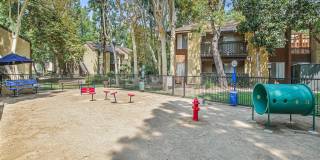 Trails San Dimas Gallery 63