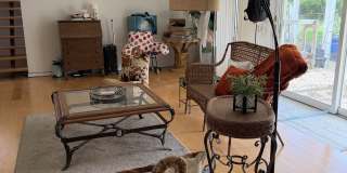 10 Heron Road Gallery 25