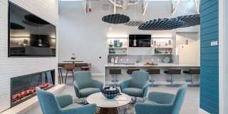 Aster at the Summit Gallery 18