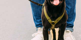 Blue Ridge Apartment Homes Gallery 1