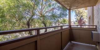 Volterra at La Mesa Gallery 37