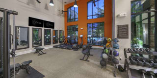 The Collection Gallery 46