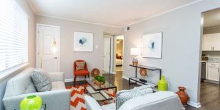 Bella 810 Gallery 4