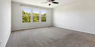 3436 Birch Lane Gallery 20