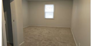 41 Richton Street Gallery 13