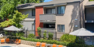 The Woods Gallery 12